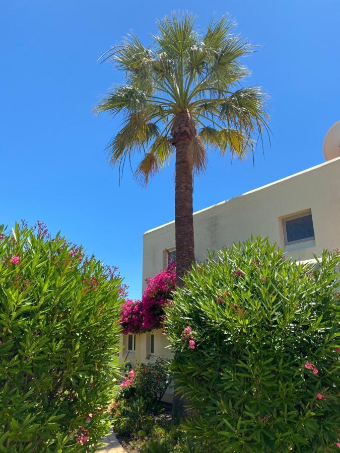 فيلا كارفويروفي Casa Sacha المظهر الخارجي الصورة